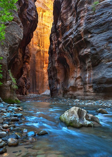 Zion